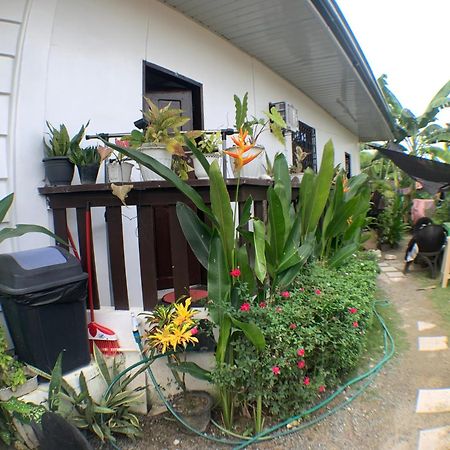 Jml Homestay General Luna  Dış mekan fotoğraf
